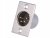XLR