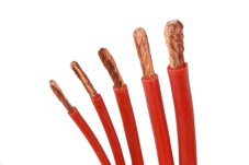 Obrázek_(1) Obrázek_(1)